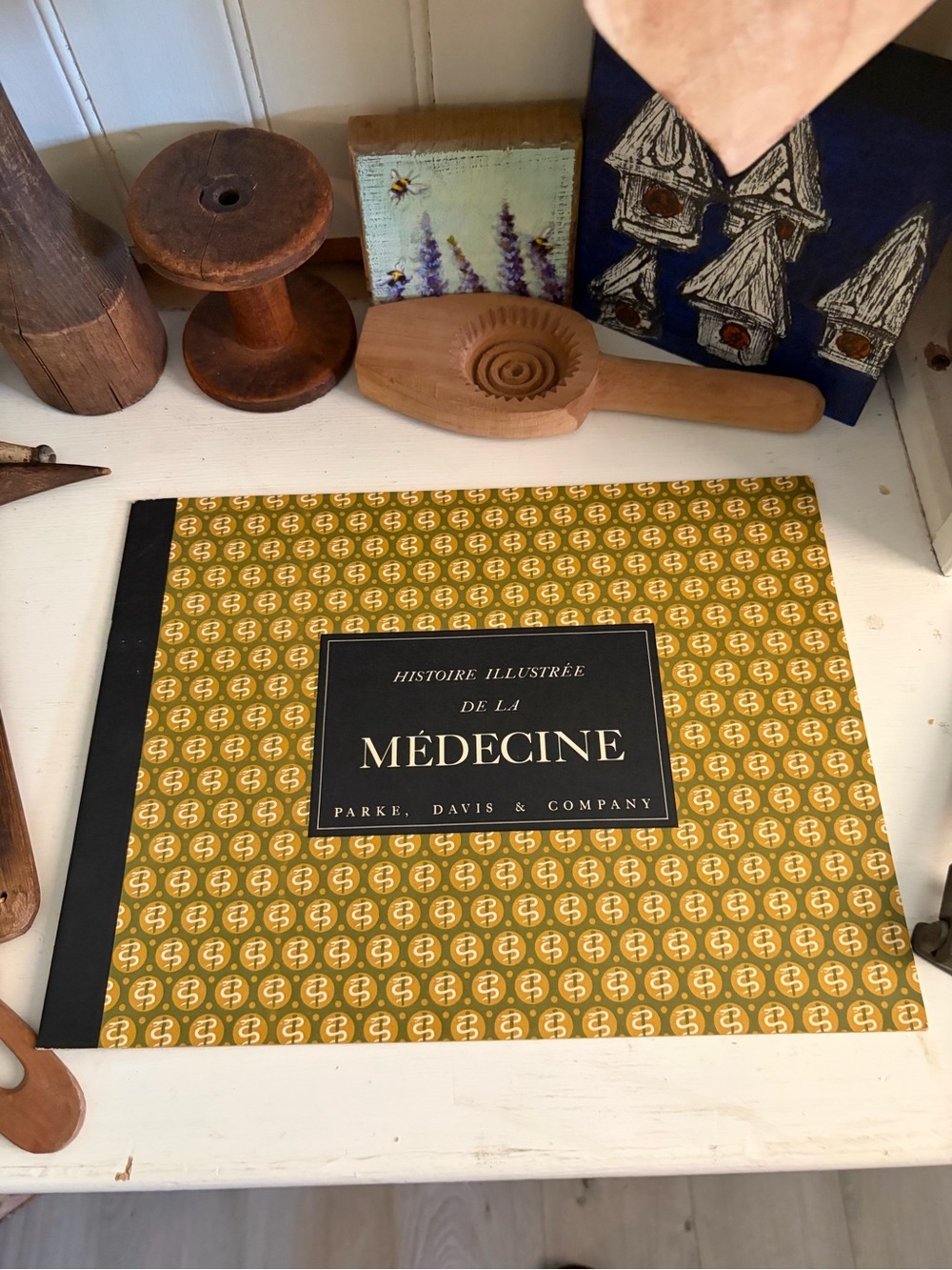 The History of Medicine Book